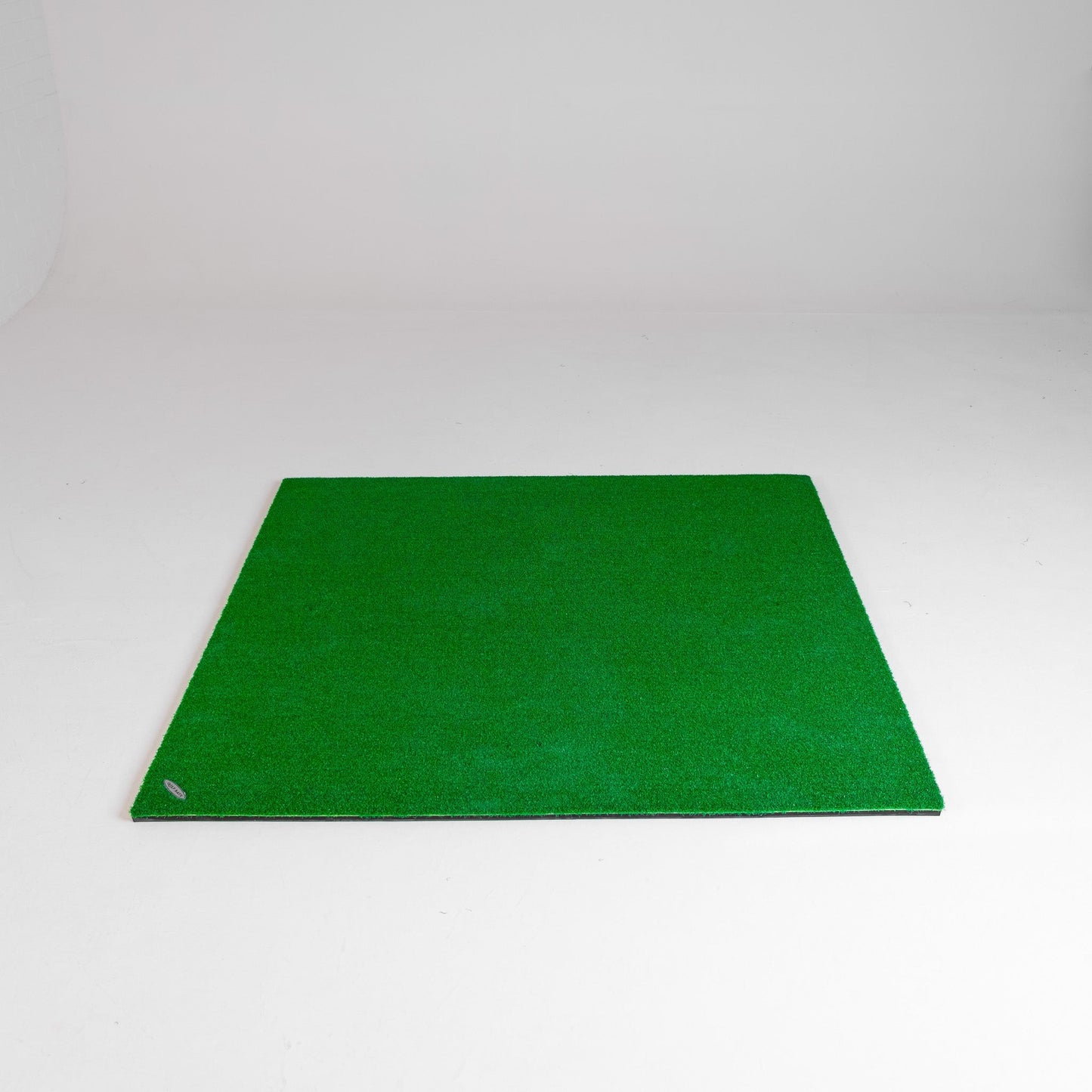 Skytrak+ EasySim Home Golf Simulator Full Package