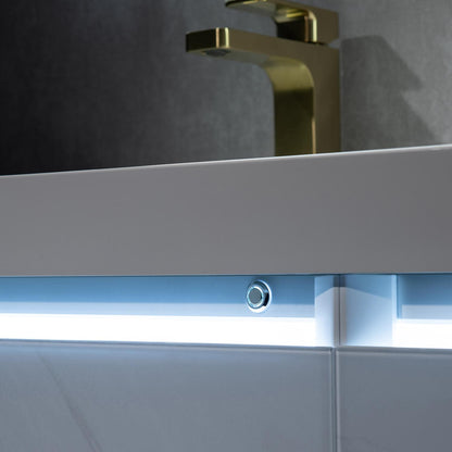 Blossom Jena 24 Inch Bathroom Vanity - V8018 24 23